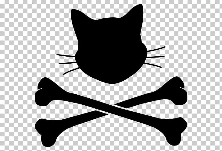 Whiskers Cat Snout Silhouette PNG, Clipart, Animals, Black, Black And White, Black M, Carnivoran Free PNG Download