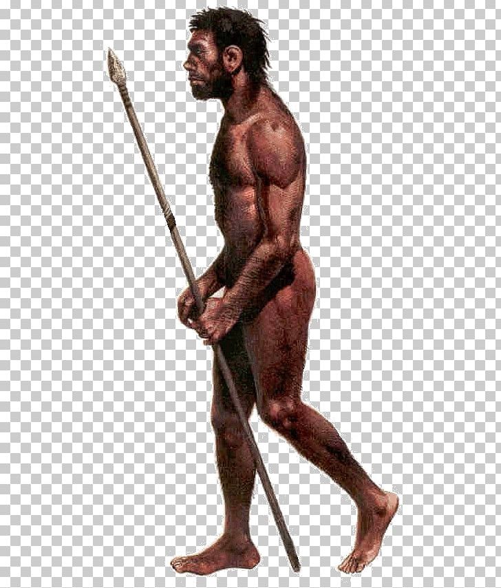 Neandertal Cro-Magnon Rock Shelter Primate Anatomically Modern Human Early Human Migrations PNG, Clipart, Archaic Humans, Arm, Barechestedness, Chest, Cromagnon Free PNG Download