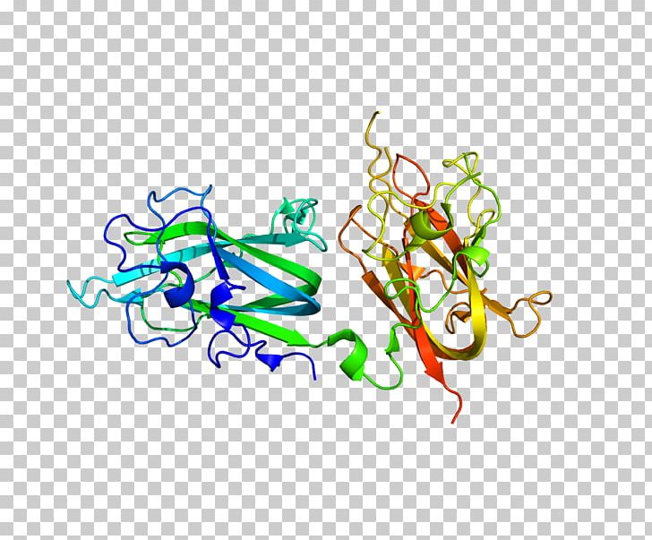 Neuropilin 2 Neuropilin 1 Protein Semaphorin PNG, Clipart, Antibody, Area, Art, Gene, Graphic Design Free PNG Download
