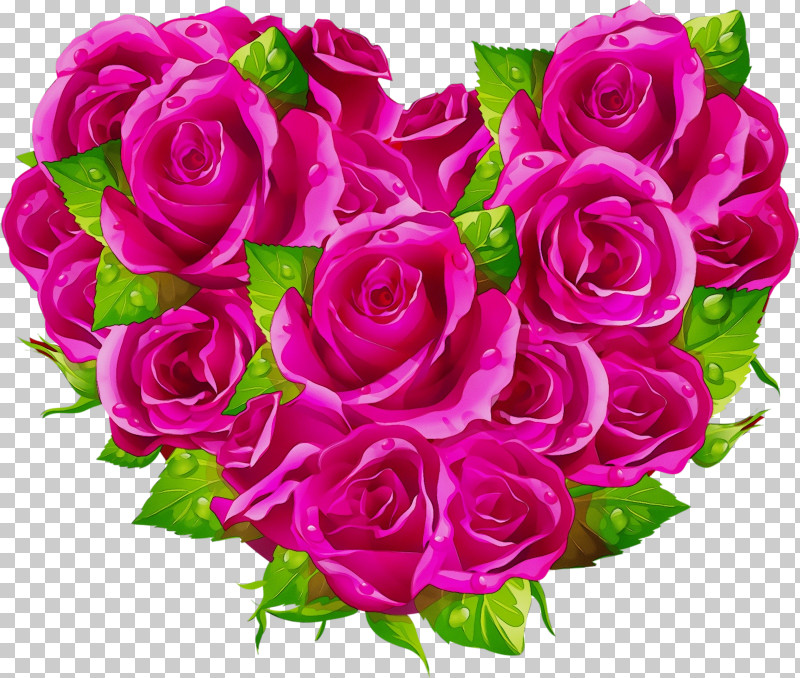 Garden Roses PNG, Clipart, Bouquet, Cut Flowers, Floribunda, Flower, Garden Roses Free PNG Download