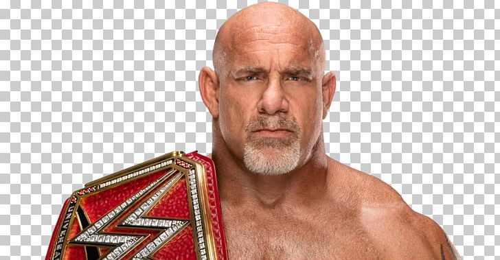 Bill Goldberg WWE Universal Championship WWE United States Championship World Heavyweight Championship WWE Championship PNG, Clipart, Aggression, Arm, Bill Goldberg, Chin, Human Free PNG Download