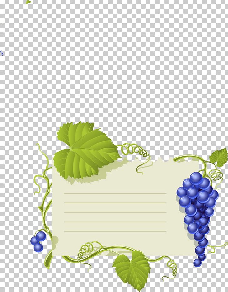 Common Grape Vine Wine Grape Leaves PNG, Clipart, Border, Common Grape Vine, Drawing, Floral Design, Flower Arranging Free PNG Download