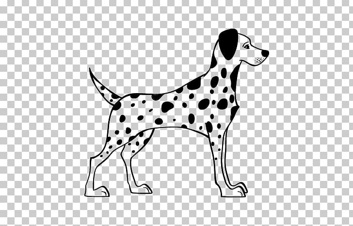 Dalmatian Dog English Cocker Spaniel Dog Breed Drawing PNG, Clipart, Animal, Are, Carnivoran, Companion Dog, Dog Breed Free PNG Download