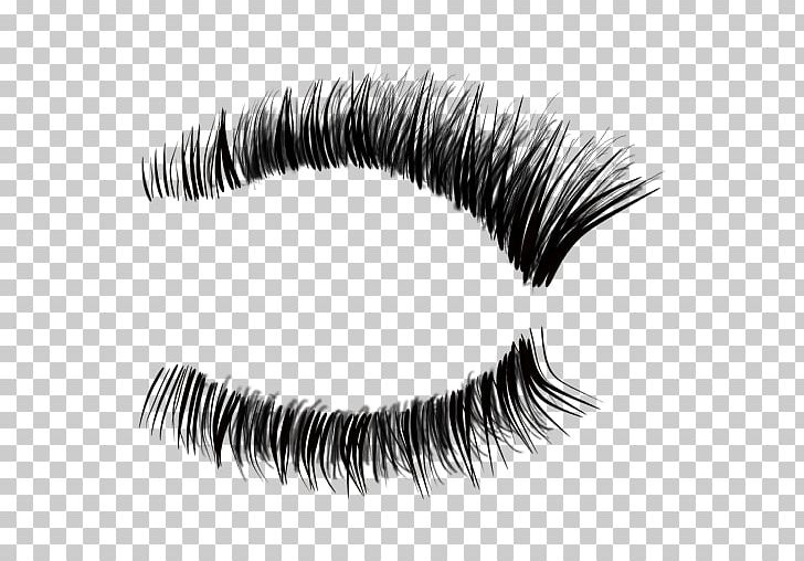 Eyelash Extensions Eyebrow PNG, Clipart, Black And White, Cosmetics, Digital Media, Eye, Eyebrow Free PNG Download