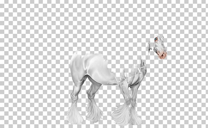 Foal Mare Stallion Mustang Colt PNG, Clipart, Black And White, Camel, Camel Like Mammal, Colt, Drawing Free PNG Download