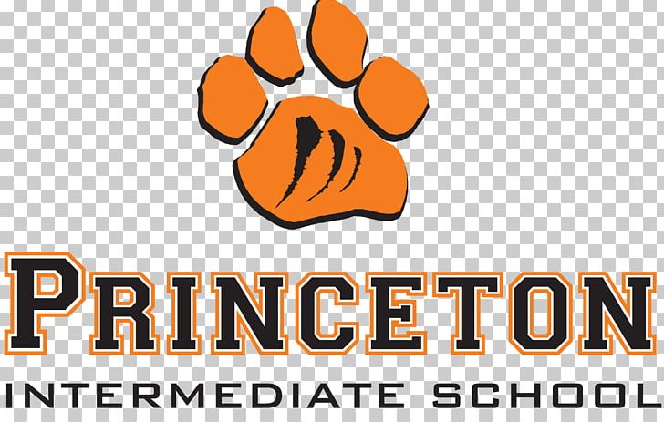 Princeton University Education Teacher School PNG, Clipart, Area, Bengal Tiger, Brand, Class, Curriculum Free PNG Download