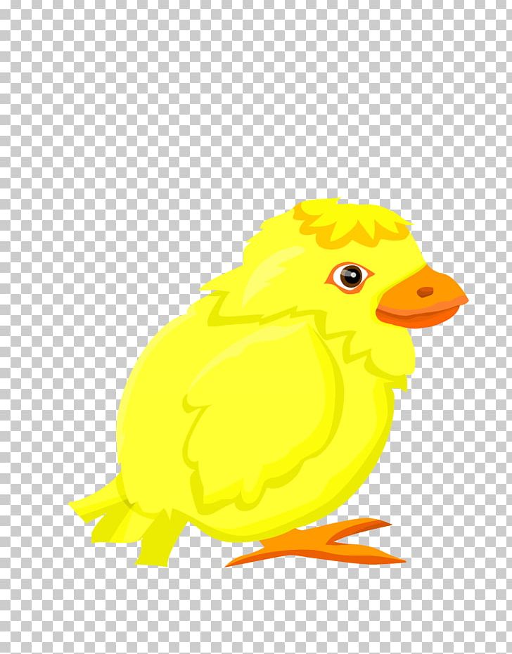 Duck Bubble Chicken PNG, Clipart, Animals, Bird, Bubble Vector, Chicken, Encapsulated Postscript Free PNG Download