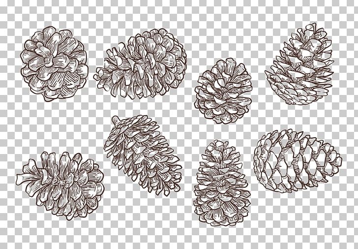 Conifer Cone Drawing PNG, Clipart, Art, Black And White, Body Jewelry, Cedar, Cone Free PNG Download