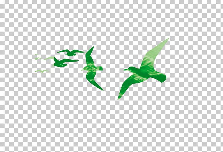 Hummingbird Green PNG, Clipart, Abstract, Animals, Asuka, Background Green, Beak Free PNG Download