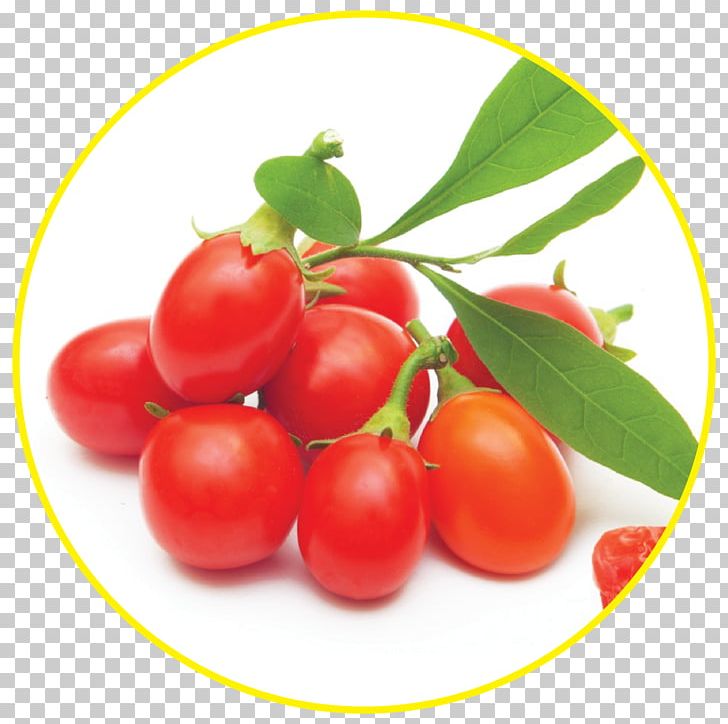 Goji Berry Superfood Matrimony Vine PNG, Clipart, Acerola, Acerola Family, Antioxidant, Berry, Blueberry Free PNG Download