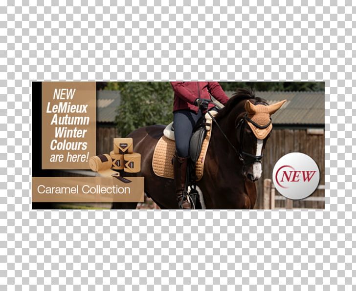 Horse Bridle Stallion Equestrian Caramel PNG, Clipart, Advertising, Brand, Bridle, Caramel, Caramel Color Free PNG Download