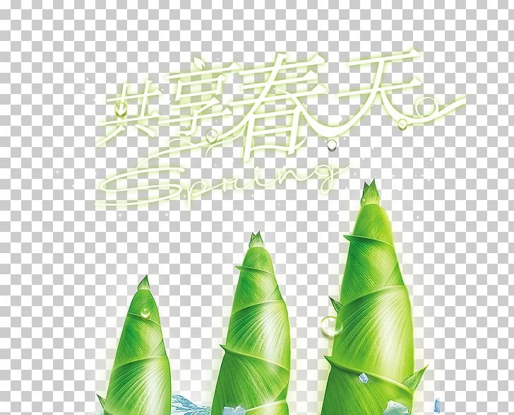 Bamboo Shoot PNG, Clipart, Bamboo, Bamboo Shoot, Bamboo Shoots, Download, Encapsulated Postscript Free PNG Download