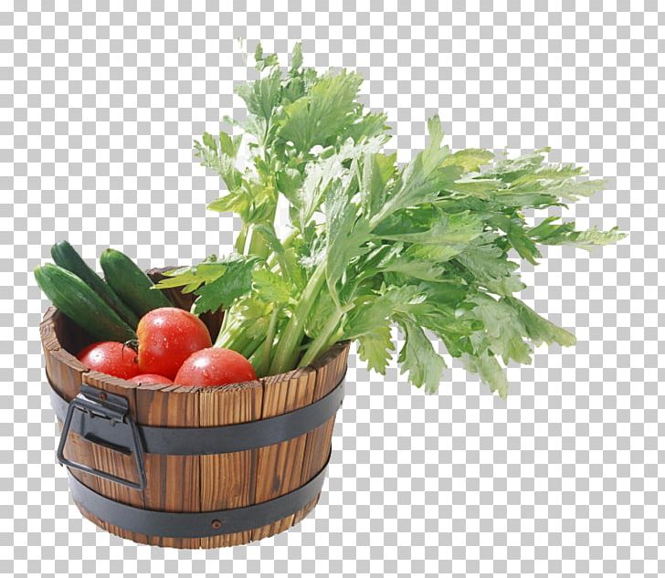 Capsicum Annuum Vegetable Food Starch Tomato PNG, Clipart, Flower Pot, Food, Fruit, Fruits And Vegetables, Ketchup Free PNG Download