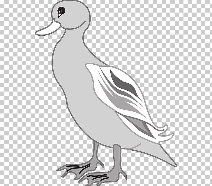 Duck Goose Bird PNG, Clipart, Animals, Artwork, Beak, Bird, Black And White Free PNG Download