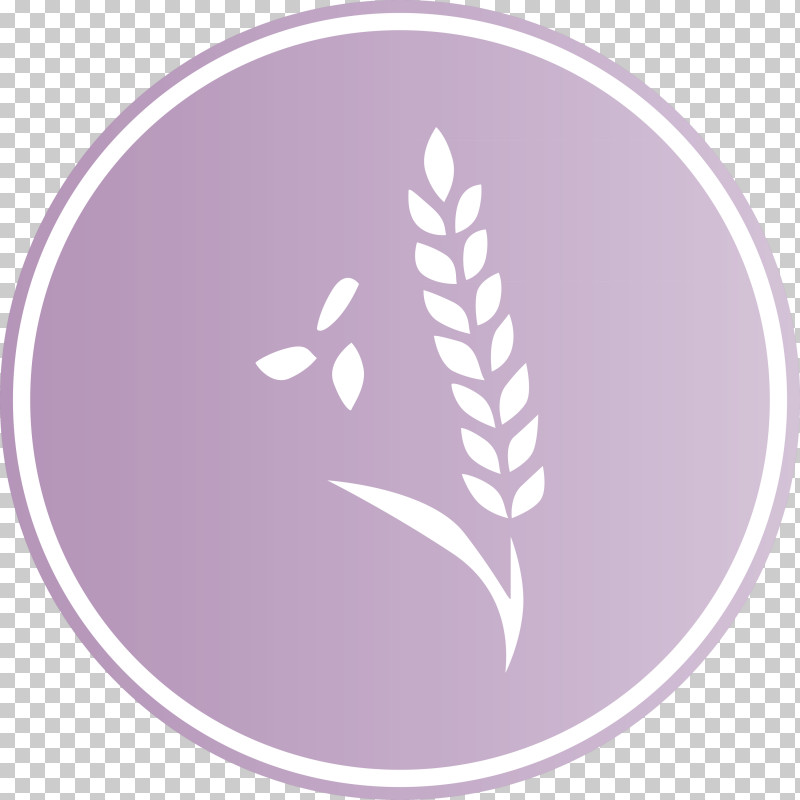Oats Wheat Oats Logo PNG, Clipart, Feather, Meter, Oats, Oats Icon, Oats Logo Free PNG Download