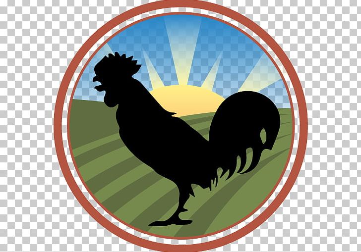 Fried Chicken Rooster Hen Poultry PNG, Clipart, Animals, Beak, Bird, Chicken, Chicken As Food Free PNG Download