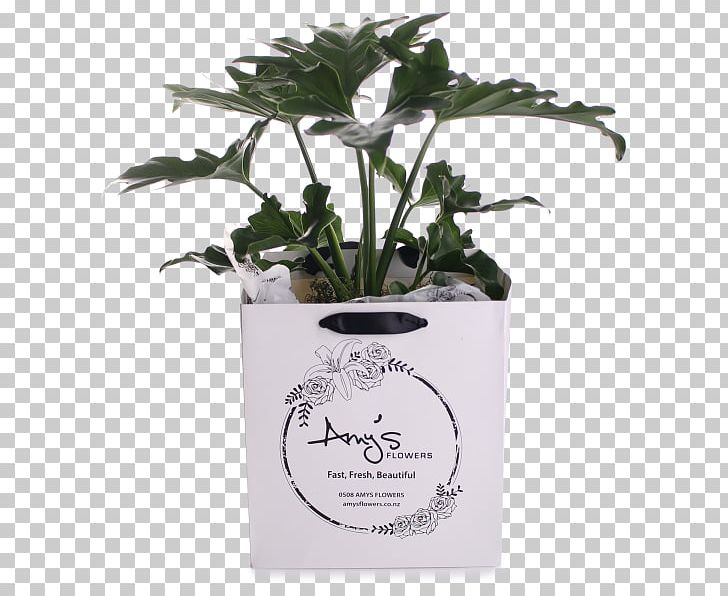 Herb Flowerpot PNG, Clipart, Flowerpot, Herb, Others, Philodendron, Plant Free PNG Download