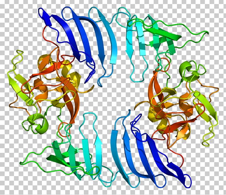 SETD7 Histone Methyltransferase Gene PNG, Clipart, Area, Art, Artwork, Ensembl, Enzyme Free PNG Download