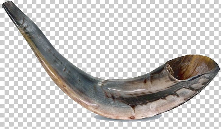 Shofar French Horns Musical Instruments Prehistoric Music PNG, Clipart, Classical Music, French Horns, Jaw, Jewish, Jewish Ceremonial Art Free PNG Download