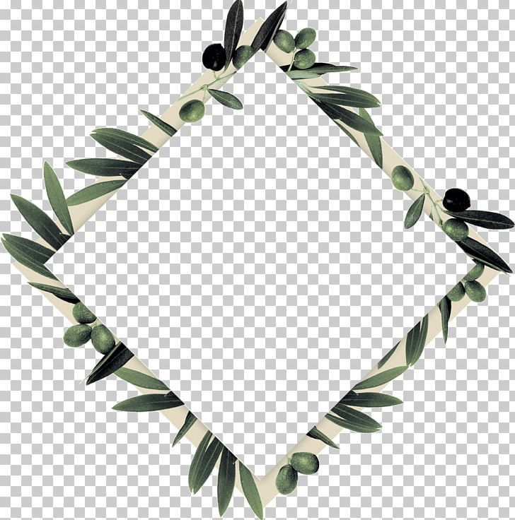 Twig Olive Branch Leaf PNG, Clipart, Abstract, Branch, Innovative, Leaf, Logo Free PNG Download