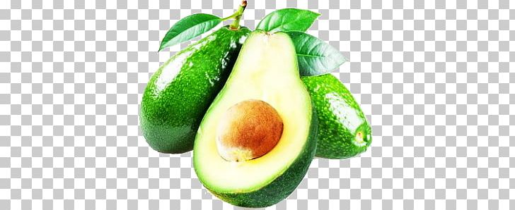 Avocado PNG, Clipart, Avocado Free PNG Download