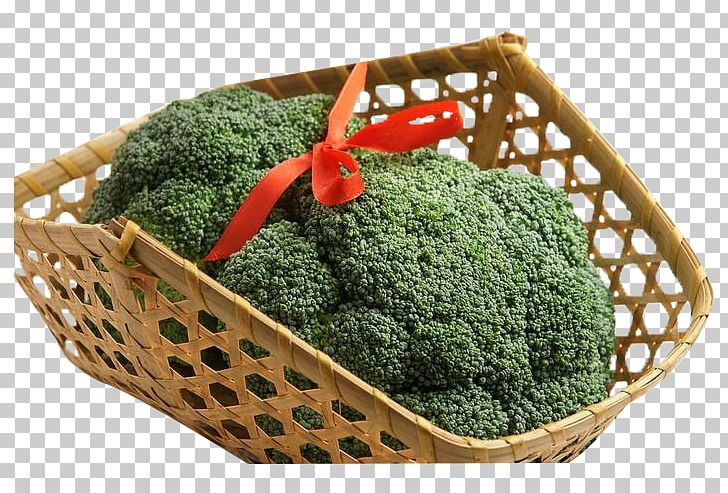 Broccoli Vegetable Vegetarian Cuisine PNG, Clipart, Basket, Broccoli, Broccoli 0 0 3, Broccoli Art, Broccoli Dog Free PNG Download