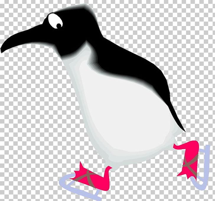 Club Penguin Razorbills PNG, Clipart, Animal, Animals, Beak, Bird, Blog Free PNG Download