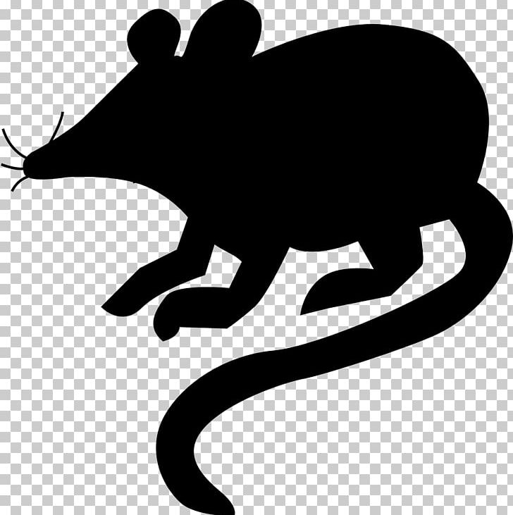 Rat PNG, Clipart, Animals, Artwork, Black And White, Cartoon, Download Free PNG Download