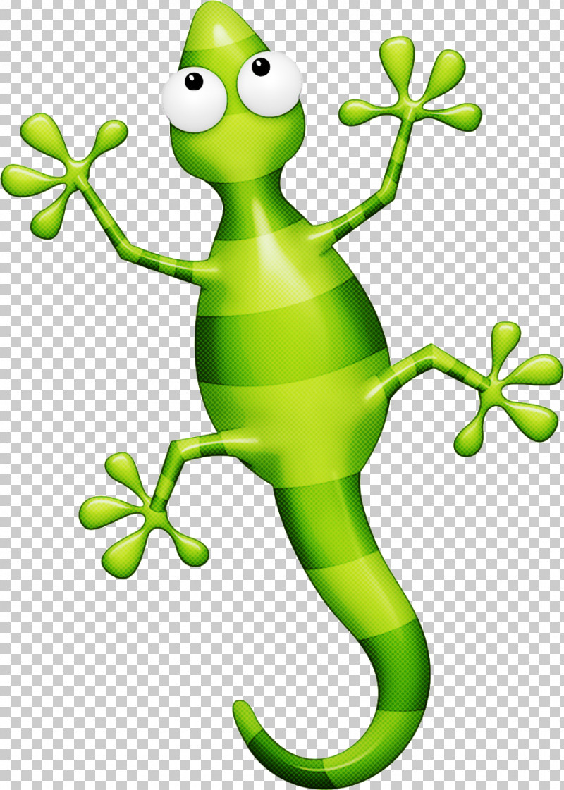 Green Shrub Frog Gecko Frog Tree Frog PNG, Clipart, Frog, Gecko, Green, Hyla, Shrub Frog Free PNG Download
