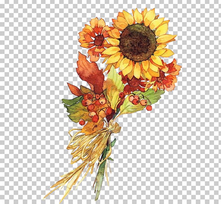 Common Sunflower PNG, Clipart, Artificial Flower, Chrysanthemum Chrysanthemum, Chrysanthemums, Daisy Family, Flower Free PNG Download