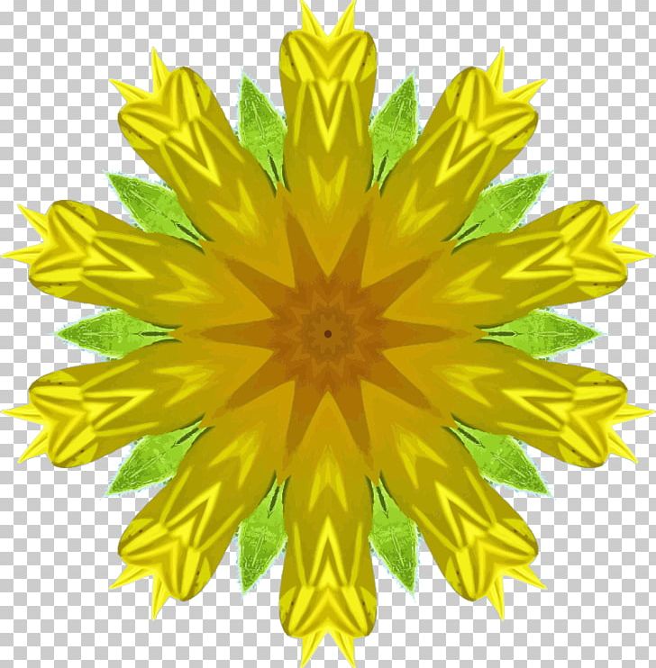 Drawing PNG, Clipart, Chrysanths, Computer Icons, Daisy Family, Dandelion, Download Free PNG Download