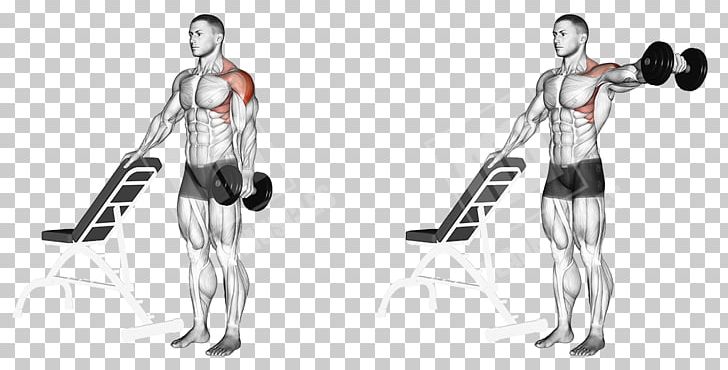 Physical Fitness Dumbbell Exercise Rear Delt Raise Front Raise PNG, Clipart, Abdomen, Angle, Arm, Barbell, Bench Free PNG Download