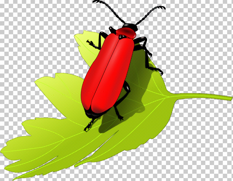 Pest Control Insect Control Blattodea Pest German Cockroach PNG, Clipart, Aerial Application, Beetles, Blattodea, German Cockroach, Green Free PNG Download