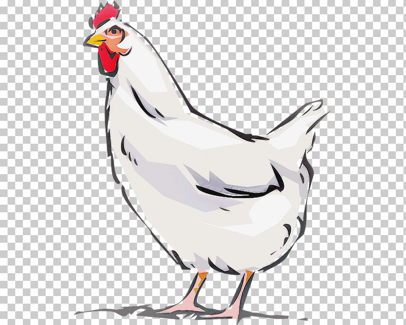 Bird Chicken Rooster Beak Cartoon PNG, Clipart, Animal Figure, Beak, Bird, Cartoon, Chicken Free PNG Download