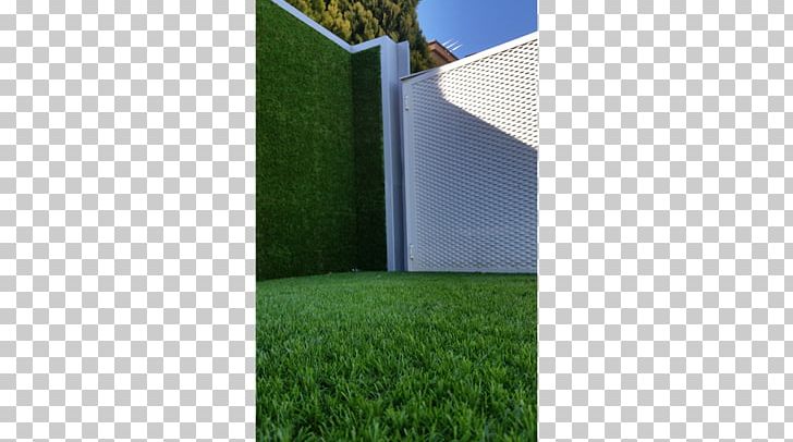 Artificial Turf Lawn Garden Green Wall Trellis PNG, Clipart, Angle, Area, Artificial Turf, Bertikal, Energy Free PNG Download