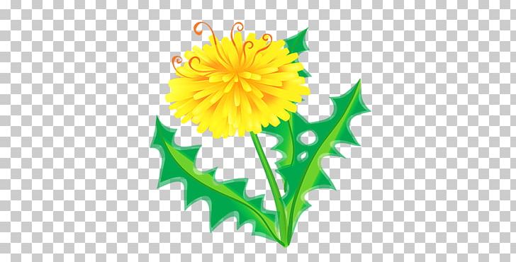 Flower Photography Desktop PNG, Clipart, Chrysanths, Cicek, Cut Flowers, Dahlia, Daisy Family Free PNG Download