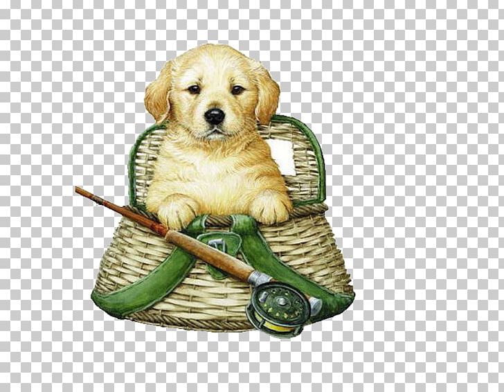 Goldendoodle Poodle Golden Retriever Puppy Kitten PNG, Clipart, Animal, Animals, Basket, Carnivoran, Cartoon Free PNG Download