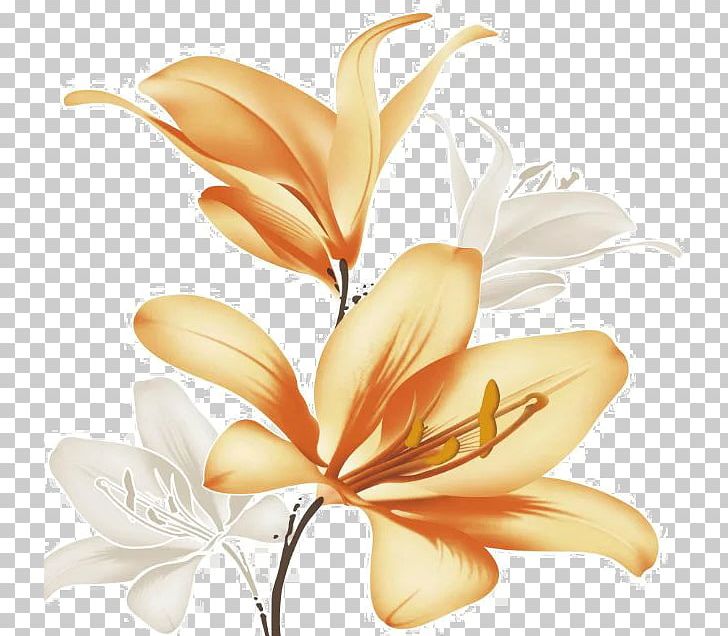 Lilium White PNG, Clipart, Adobe, Cut Flowers, Download, Flower, Flowering Plant Free PNG Download