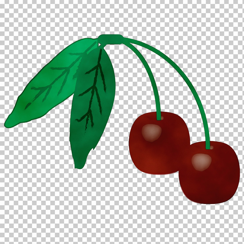 Leaf Cherry Plant Structure Biology Science PNG, Clipart, Biology, Cherry, Leaf, Paint, Plants Free PNG Download