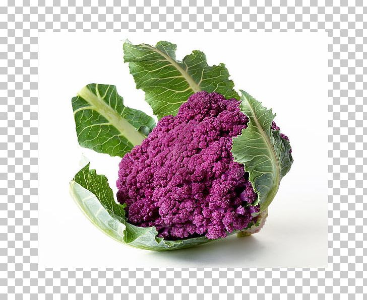 Cauliflower Romanesco Broccoli Vegetable Fruit PNG, Clipart, Brassica Oleracea, Bro, Cabbage, Cauliflower, Chou Free PNG Download