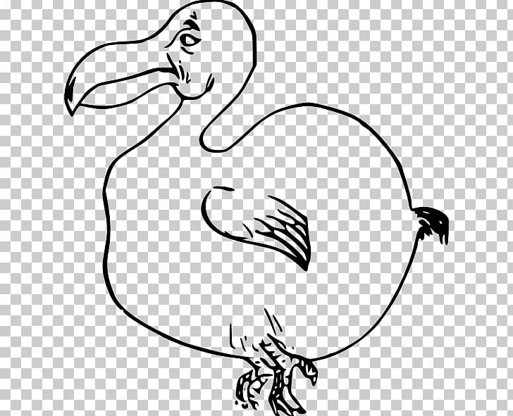 Dodo Bird PNG, Clipart, Arm, Art, Artwork, Beak, Bird Free PNG Download