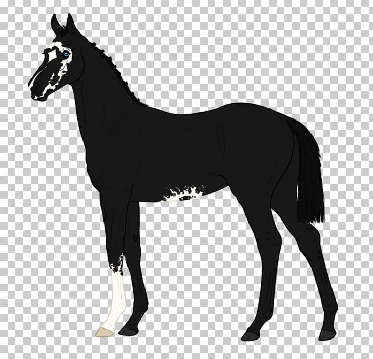 Mustang Stallion Mare Horse Harnesses Trace PNG, Clipart,  Free PNG Download