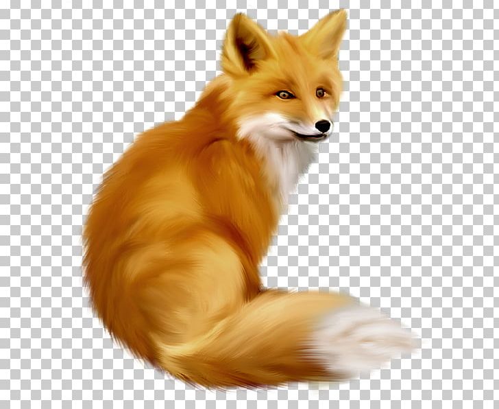 Red Fox PNG, Clipart, Animals, Art, Carnivoran, Clip Art, Desktop Wallpaper Free PNG Download