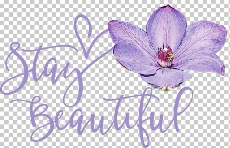 Lavender PNG, Clipart, Biology, Cut Flowers, Fashion, Flower, Lavender Free PNG Download