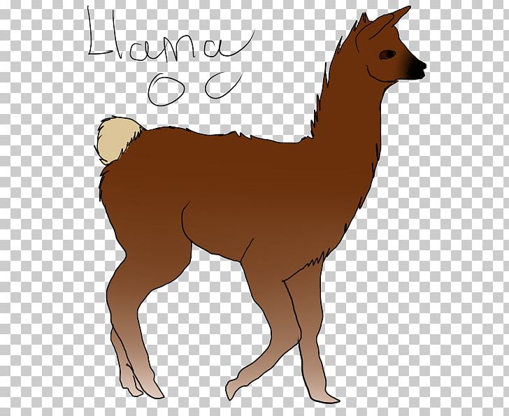 Mane Mustang Foal Llama Colt PNG, Clipart, Camel Like Mammal, Canidae, Colt, Deer, Dog Like Mammal Free PNG Download