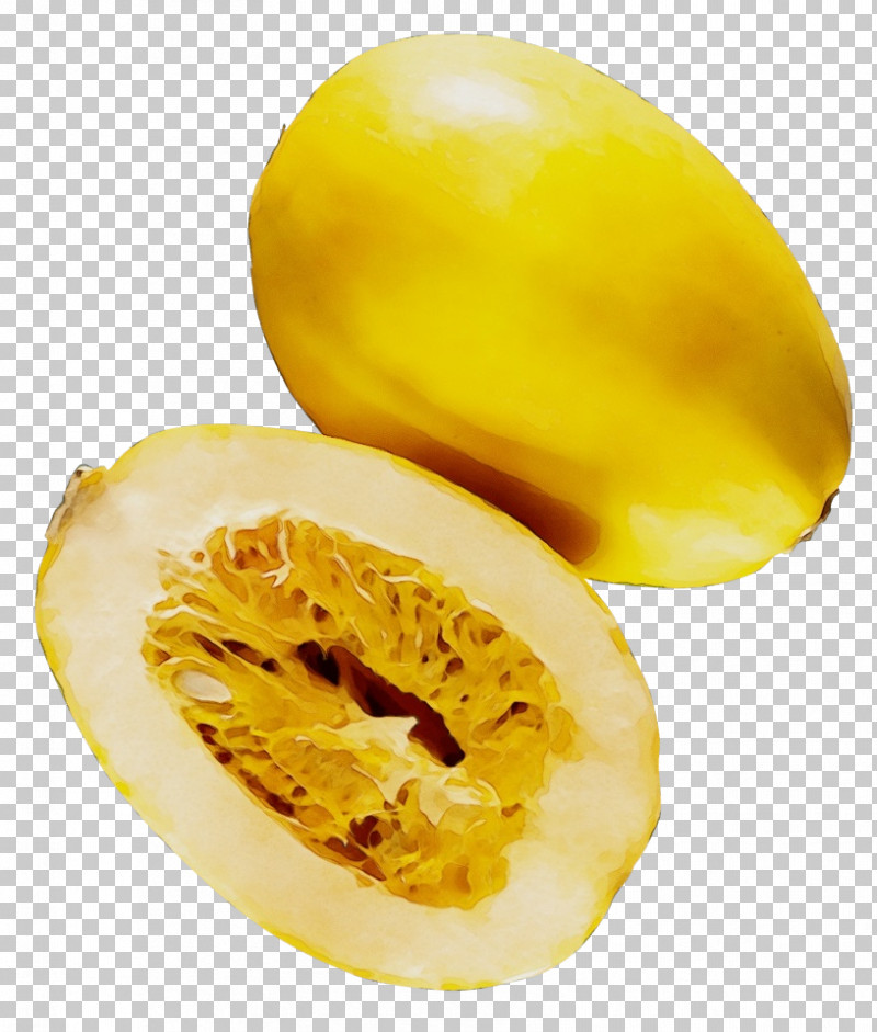 Squash Winter Squash Superfood Citron Fruit PNG, Clipart, Citron, Fruit, Paint, Squash, Superfood Free PNG Download