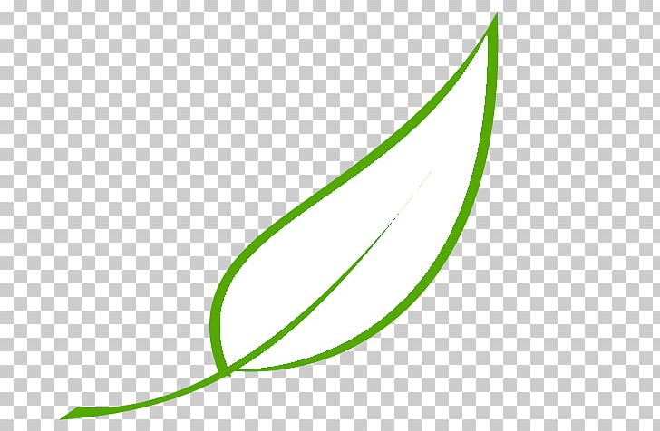 Autumn Leaf Color Green PNG, Clipart, Angle, Autumn, Autumn Leaf Color, Bulb, Desktop Wallpaper Free PNG Download