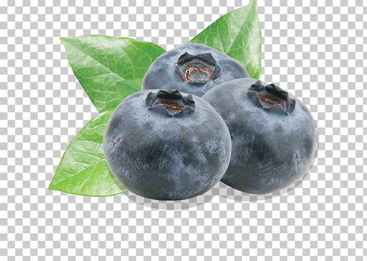 Blueberry Bilberry Fruit Driscoll's PNG, Clipart, Antioxidant, Berry, Bilberry, Blueberries, Blueberry Free PNG Download