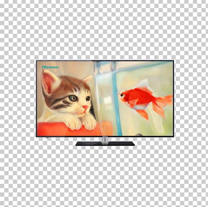 Cat Goldfish Painting Drawing PNG, Clipart, App, Appliance, Aquarium, Art, Artikel Free PNG Download