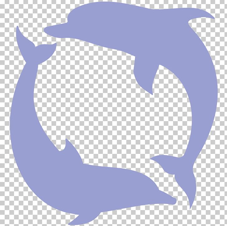 Common Bottlenose Dolphin Tucuxi Killer Whale Cetacea PNG, Clipart ...